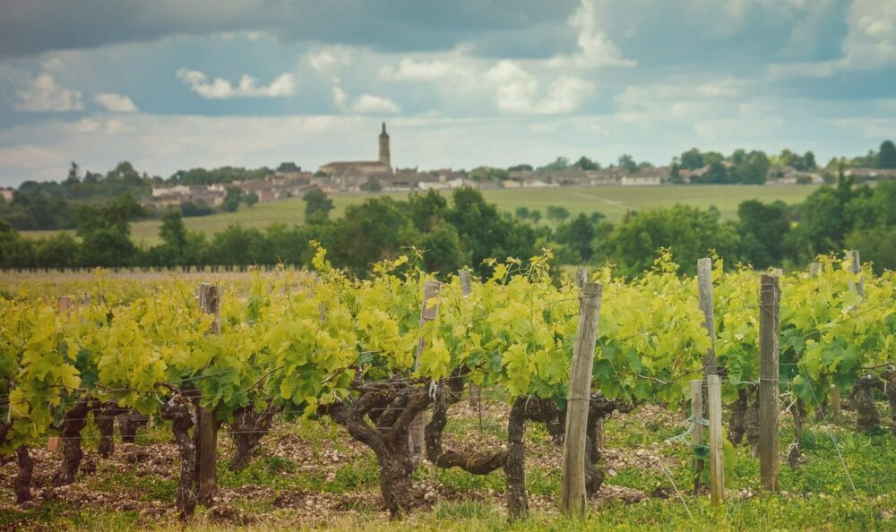Wino francuskie AOP Bordeaux Cuvée Traditionnelle Château Mamou