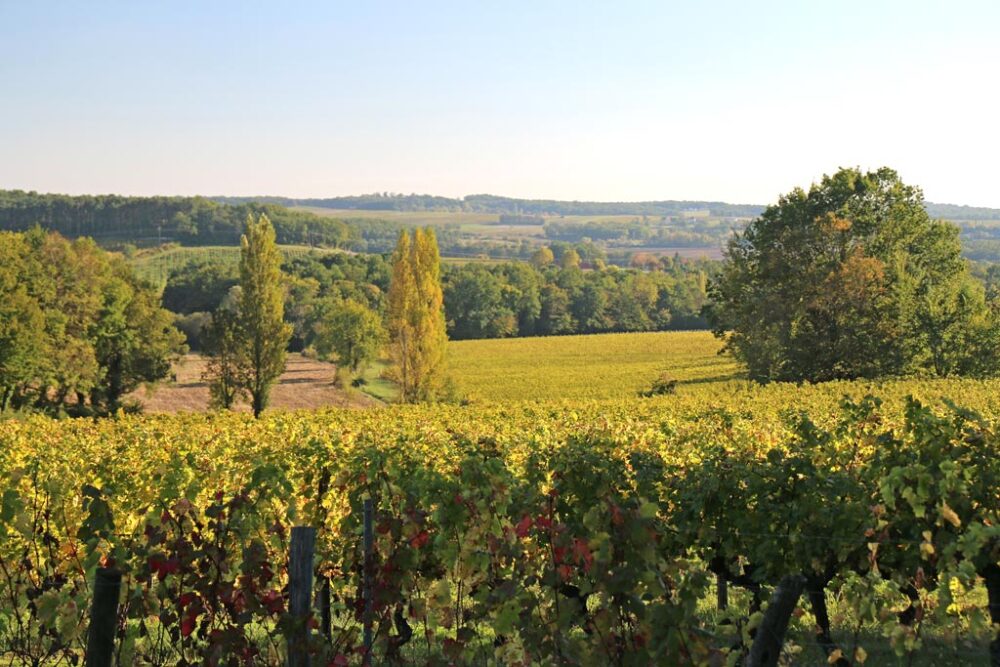Wino francuskie IGP Périgord Famille Deffarge La Frangine Rosé