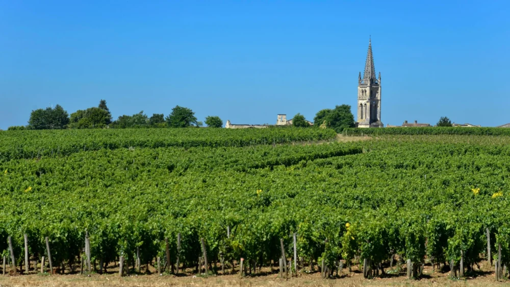 Wino francuskie AOP Pomerol Château Graves de Cantereau