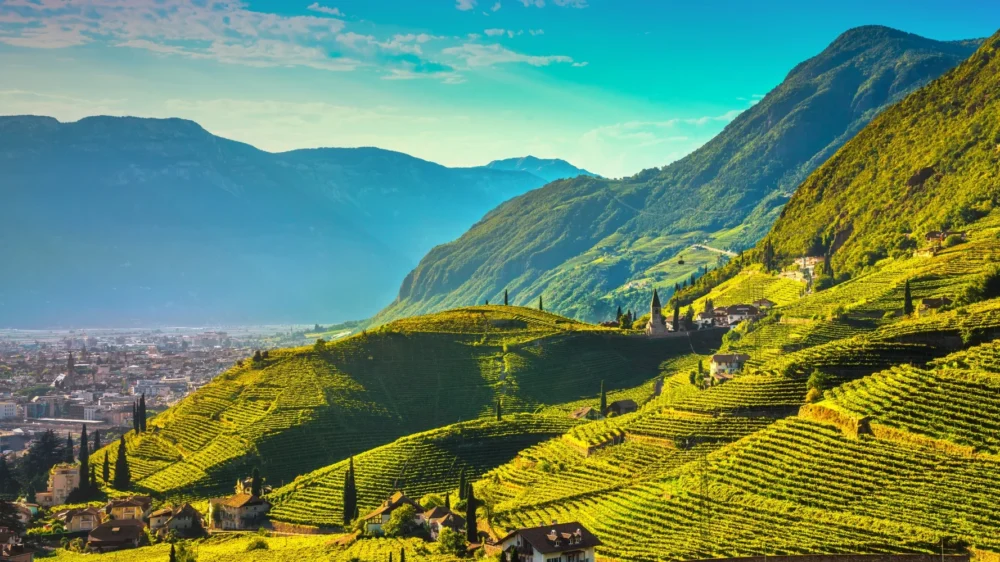 Włoskie wino Gewürztraminer Trentino DOC Castel Firmian