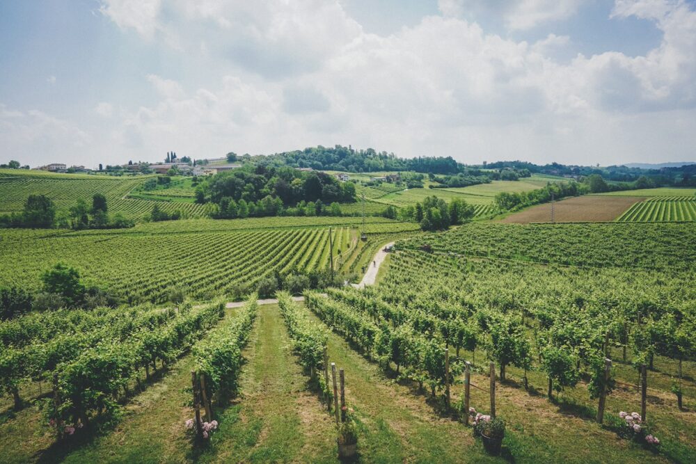 Wino Musujące Prosecco Valdobbiadene Extra Dry DOCG