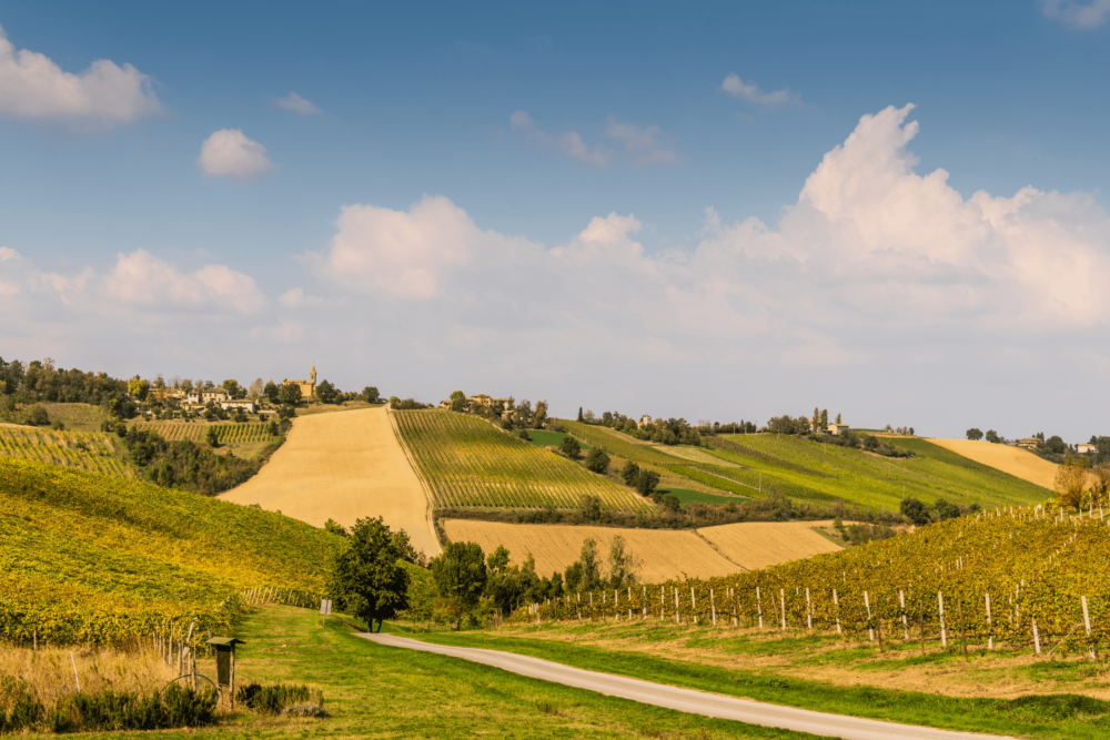 Wino włoskie Lambrusco Emilia Amabile IGT