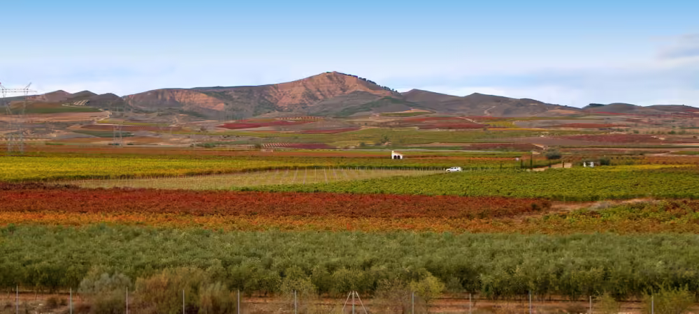 Wino hiszpańskie Lagunilla Rioja Reserva 2016 DOC