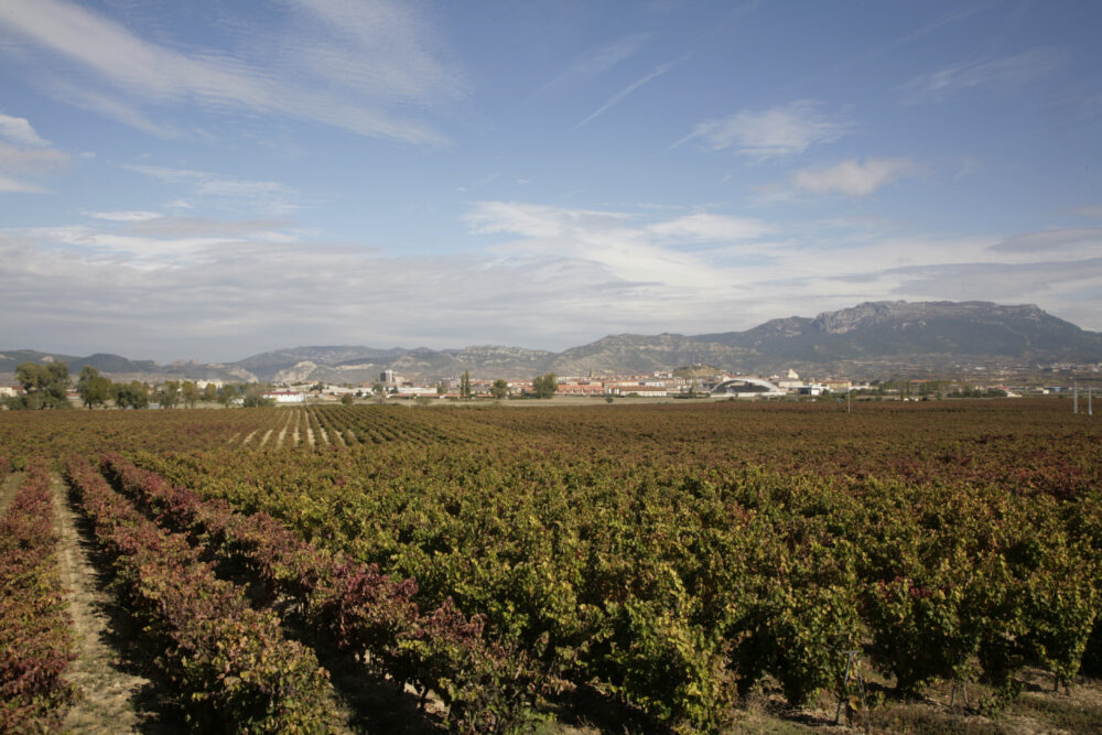 Wino hiszpańskie Carlos Serres Viura Tempranillo Blanco Rioja DOC
